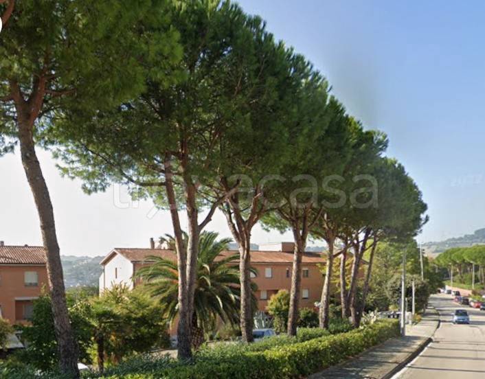 appartamento in vendita ad Ancona in zona Montedago