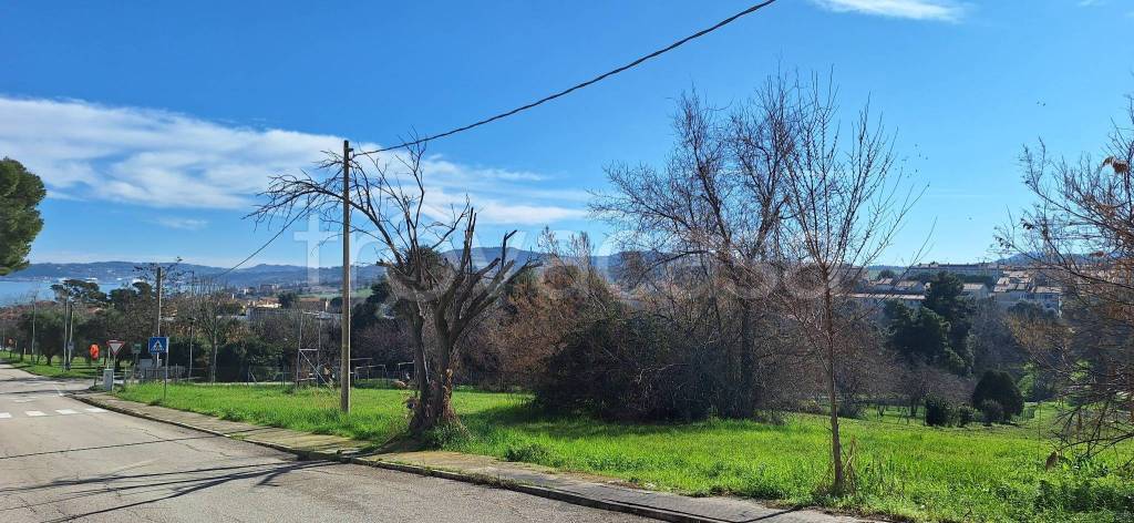 appartamento in vendita ad Ancona in zona Palombina Nuova