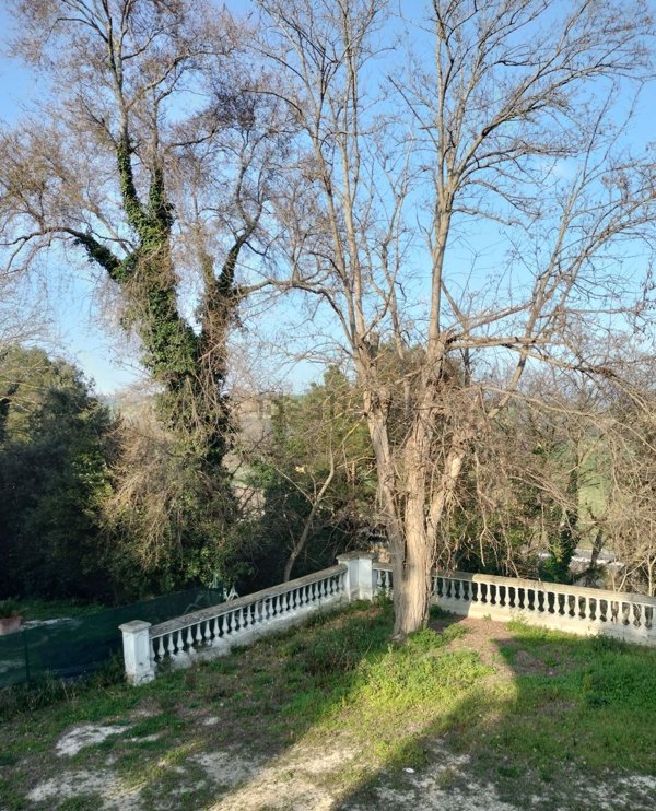 casa indipendente in vendita ad Ancona