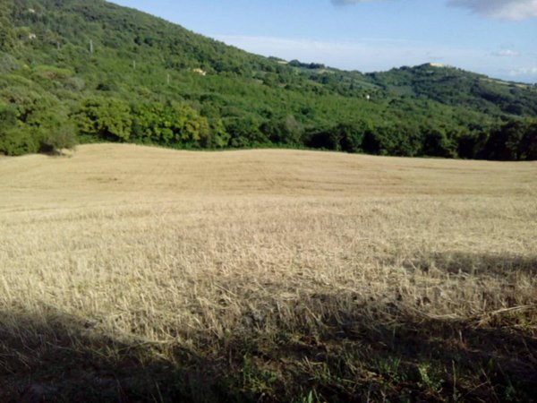 terreno agricolo in vendita ad Ancona in zona Poggio d'Ancona