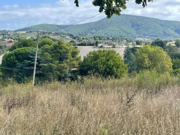 terreno agricolo in vendita ad Ancona