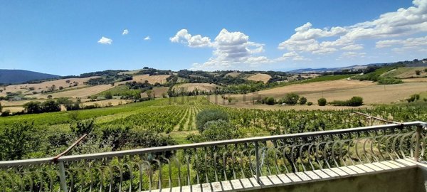 appartamento in vendita ad Ancona in zona Montacuto