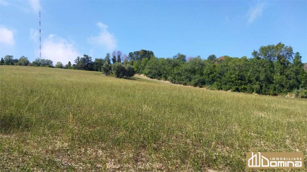 terreno agricolo in vendita ad Ancona in zona Pinocchio