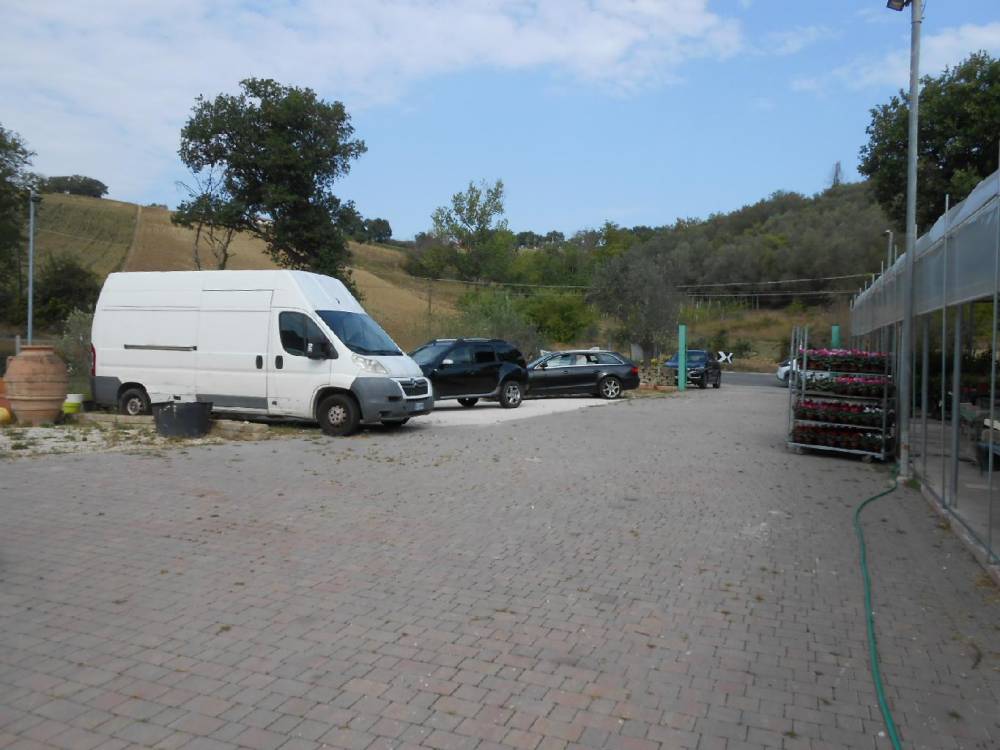 terreno agricolo in vendita ad Ancona in zona Casette Di Paterno