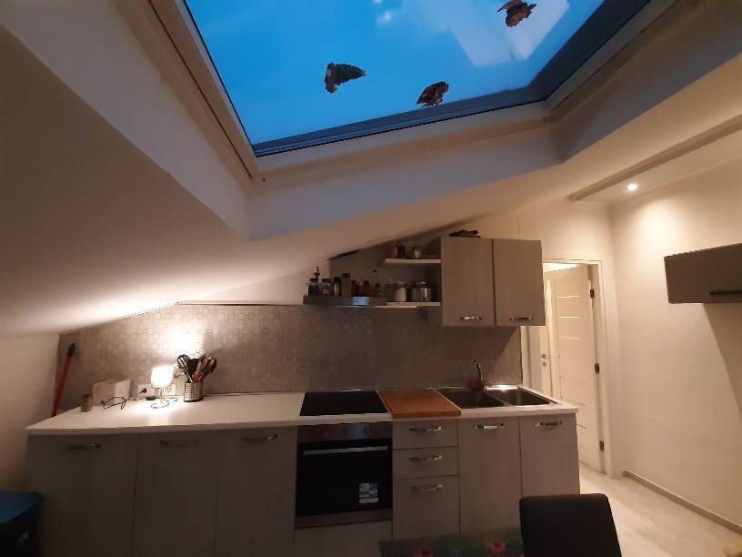 appartamento in vendita ad Ancona in zona Piano San Lazzaro