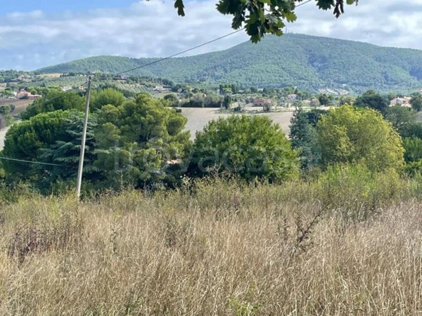 terreno agricolo in vendita ad Ancona in zona Centro Storico