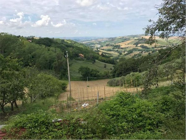 terreno agricolo in vendita ad Ancona in zona Aspio di Ancona