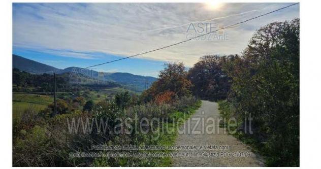 terreno agricolo in vendita ad Ancona in zona Varano
