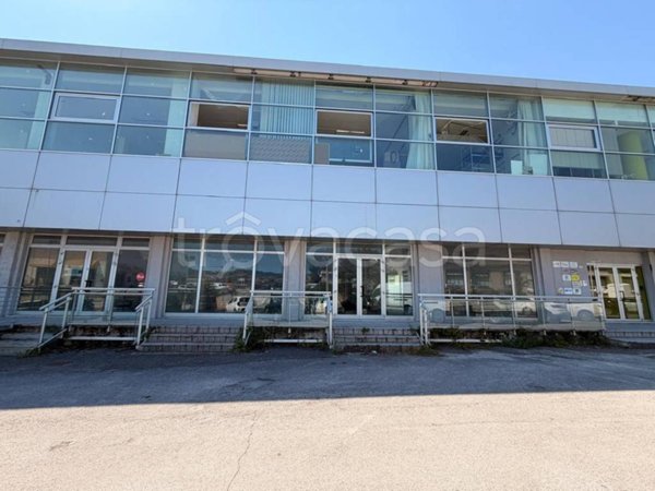 negozio in vendita ad Ancona in zona Baraccola