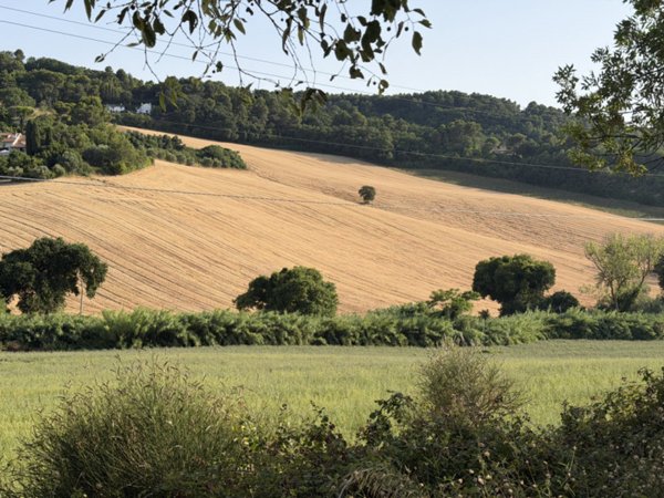 terreno agricolo in vendita ad Ancona in zona Portonovo