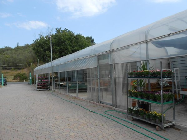 terreno agricolo in vendita ad Ancona in zona Casette Di Paterno