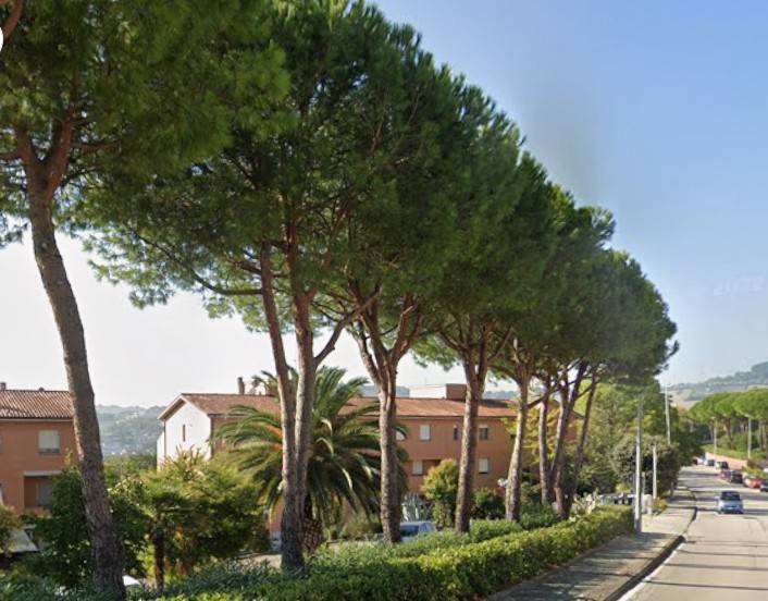 appartamento in vendita ad Ancona in zona Montedago