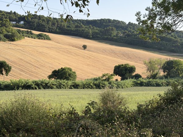 terreno agricolo in vendita ad Ancona in zona Portonovo