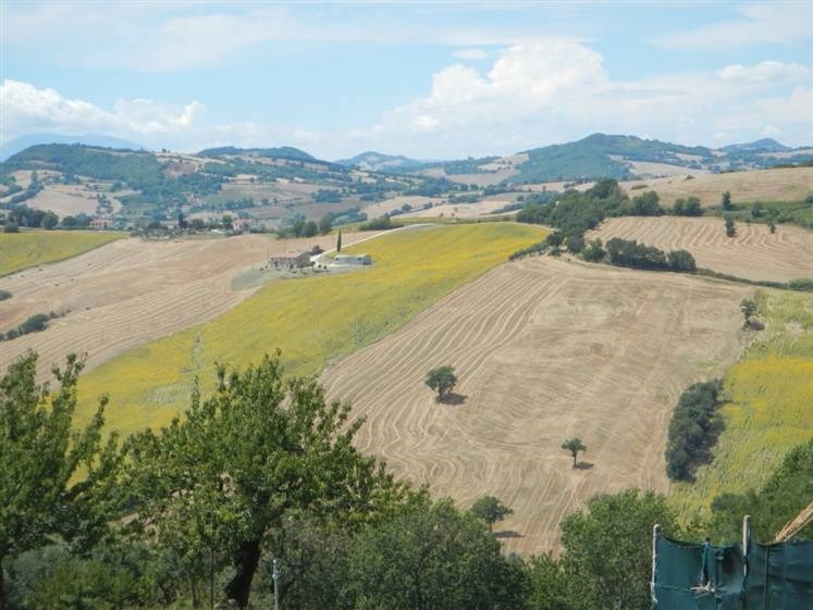 azienda agricola in vendita ad Arcevia