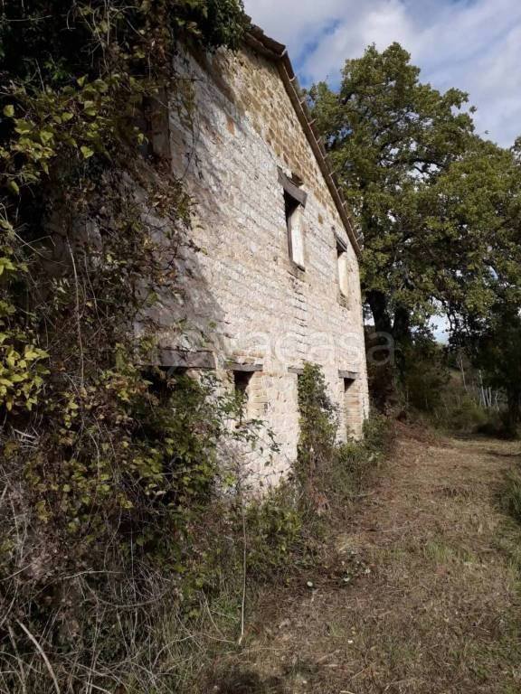 casa indipendente in vendita ad Arcevia