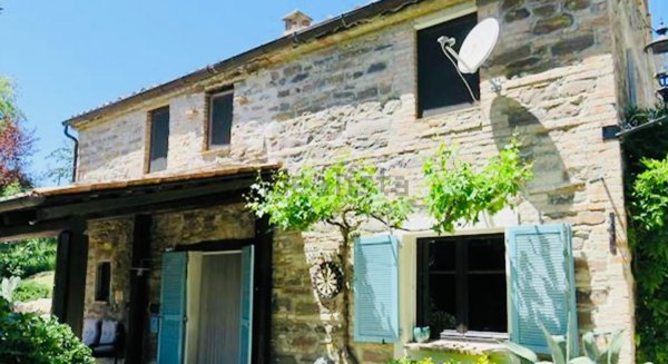 esavano in vendita ad Arcevia