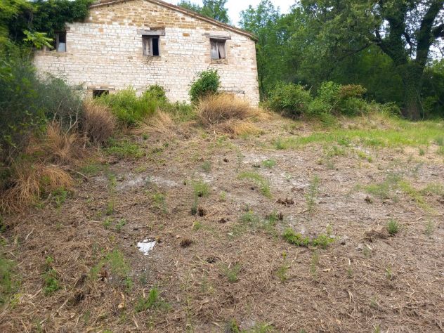 casa indipendente in vendita ad Arcevia