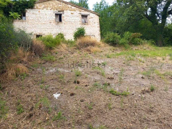 appartamento in vendita ad Arcevia