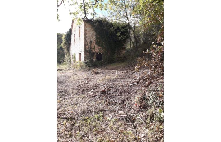 casa indipendente in vendita ad Arcevia in zona Prosano