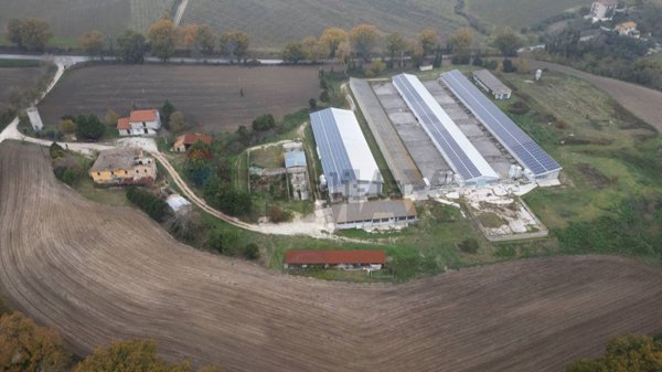 terreno agricolo in vendita ad Arcevia in zona San Giovanni Battista