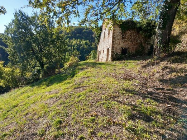 immagine annuncio 0 di 10