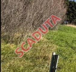 terreno agricolo in vendita ad Arcevia