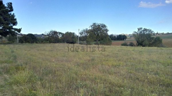 terreno agricolo in vendita ad Arcevia in zona Magnadorsa