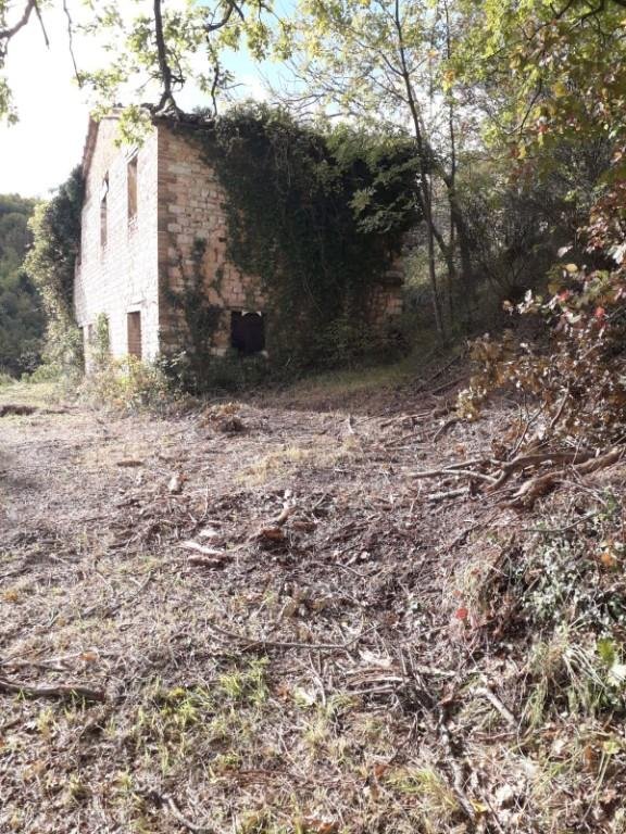 casa indipendente in vendita ad Arcevia in zona Prosano