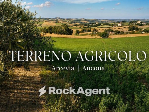 terreno agricolo in vendita ad Arcevia in zona Montale