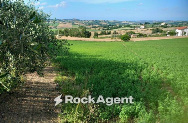 casa indipendente in vendita ad Arcevia in zona Montale