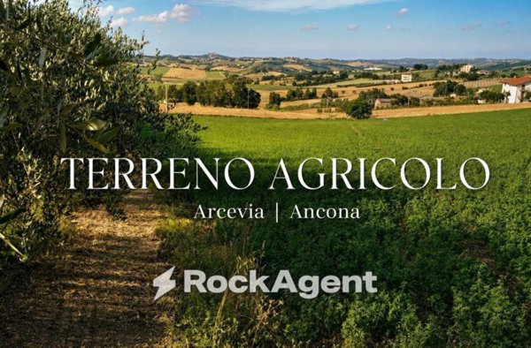 casa indipendente in vendita ad Arcevia in zona Montale