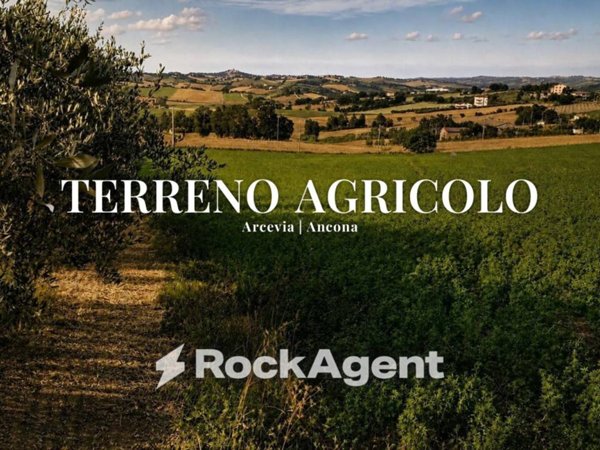 terreno agricolo in vendita ad Arcevia