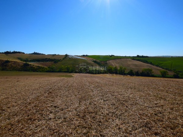 terreno agricolo in vendita a Barbara