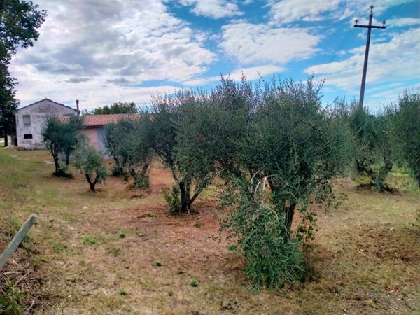 casa indipendente in vendita a Belvedere Ostrense