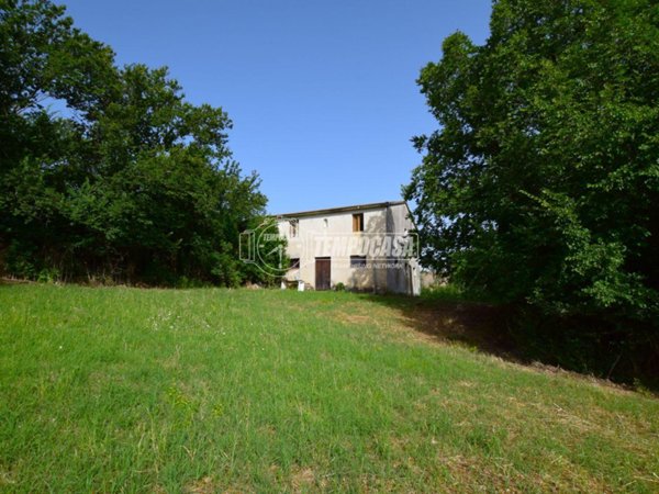 appartamento in vendita a Belvedere Ostrense