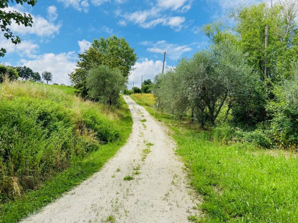 casa indipendente in vendita a Belvedere Ostrense