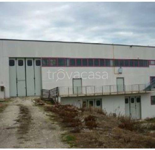 locale commerciale in vendita a Belvedere Ostrense