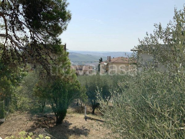appartamento in vendita a Belvedere Ostrense
