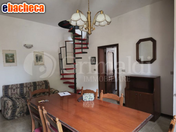 appartamento in vendita a Belvedere Ostrense