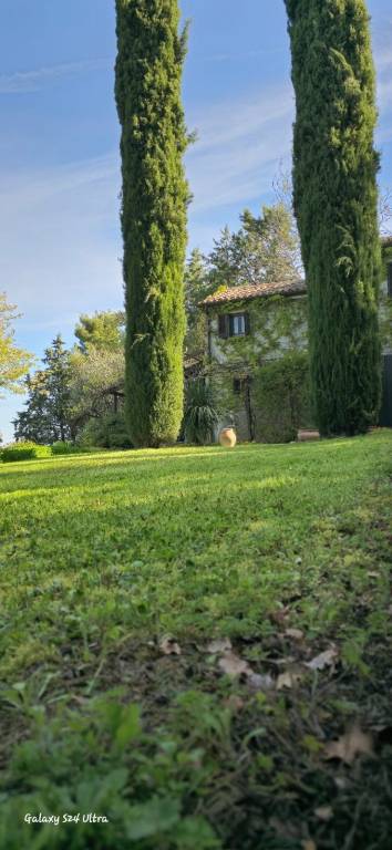 casa indipendente in vendita a Belvedere Ostrense