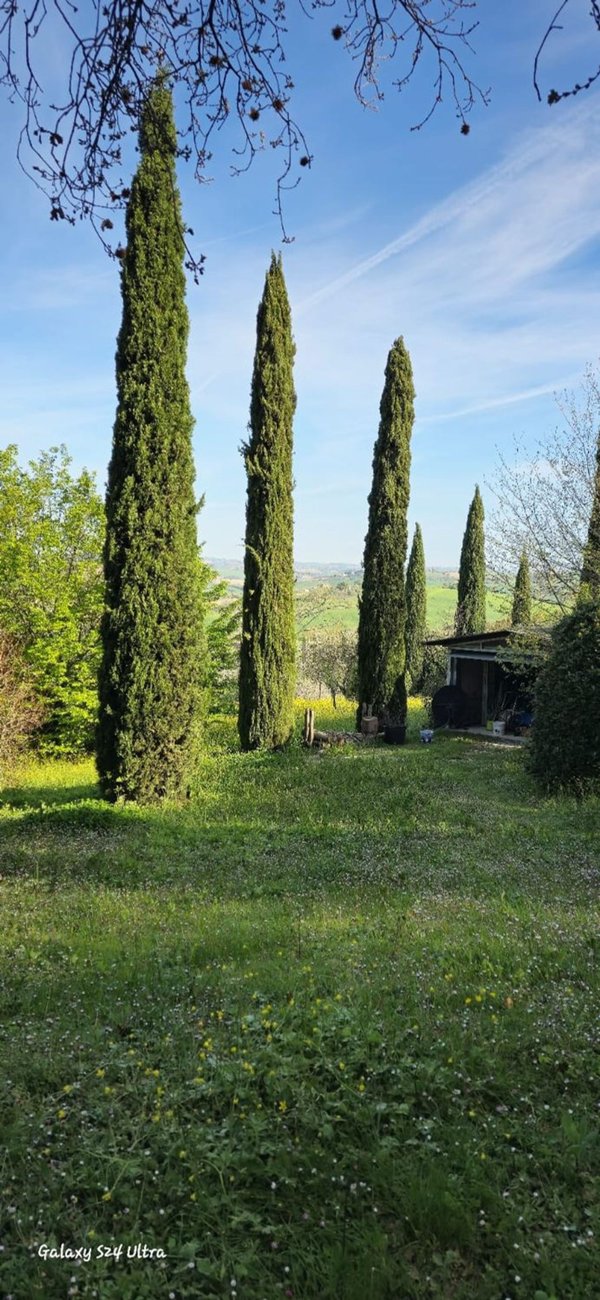 casa indipendente in vendita a Belvedere Ostrense