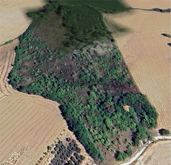 terreno agricolo in vendita a Belvedere Ostrense