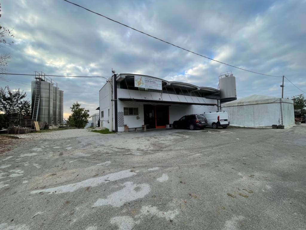 locale commerciale in vendita a Belvedere Ostrense