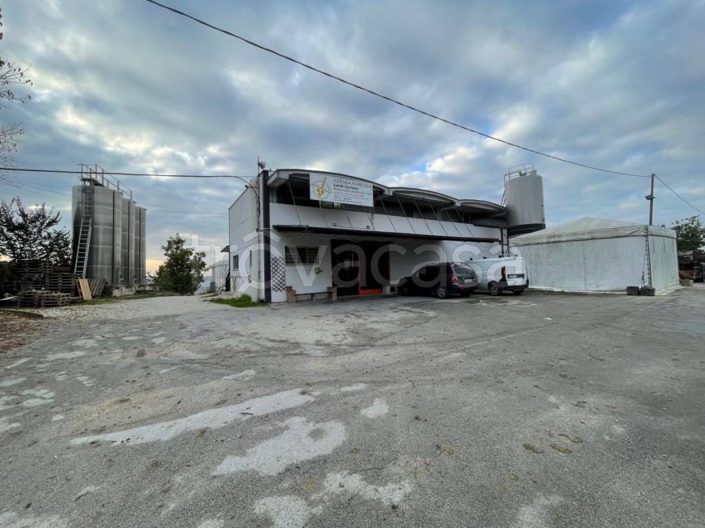 locale commerciale in vendita a Belvedere Ostrense