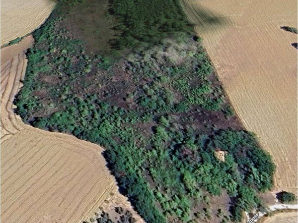 terreno agricolo in vendita a Belvedere Ostrense