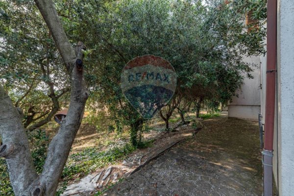 casa indipendente in vendita a Belvedere Ostrense