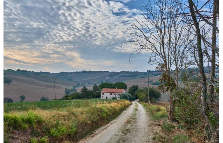 casa indipendente in vendita a Belvedere Ostrense