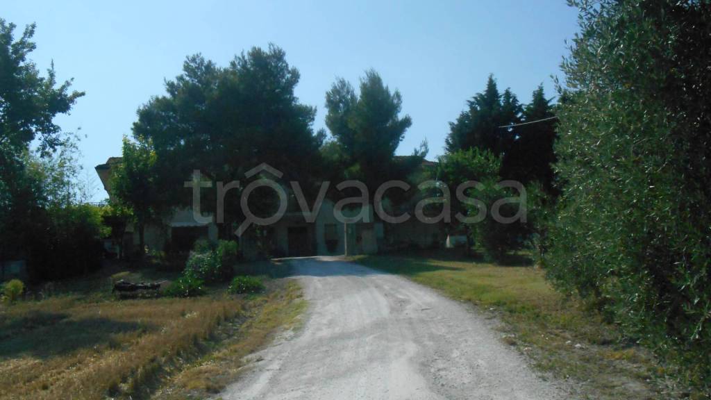 immagine annuncio 0 di 8