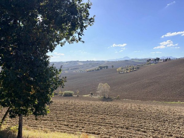 casa indipendente in vendita a Belvedere Ostrense