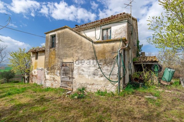 esavano in vendita a Belvedere Ostrense